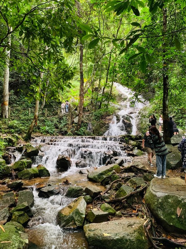 น้ำตกแม่กำปอง (Mae Kampong Waterfall)