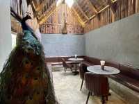 ร้านชิดลมค่าเฟ่ เชียงใหม่