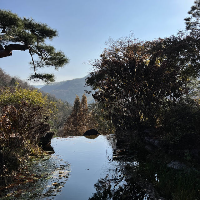 Hwadam Forest: The Backyard We All Want! 