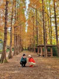 귀여운 전동차도 탈수 있는 경상남도 수목원🍂