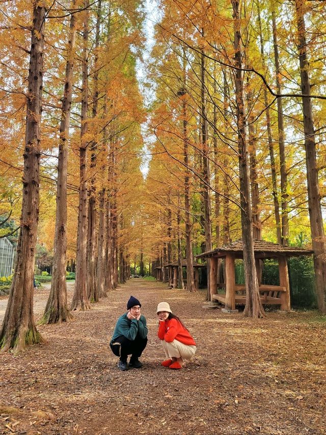 귀여운 전동차도 탈수 있는 경상남도 수목원🍂