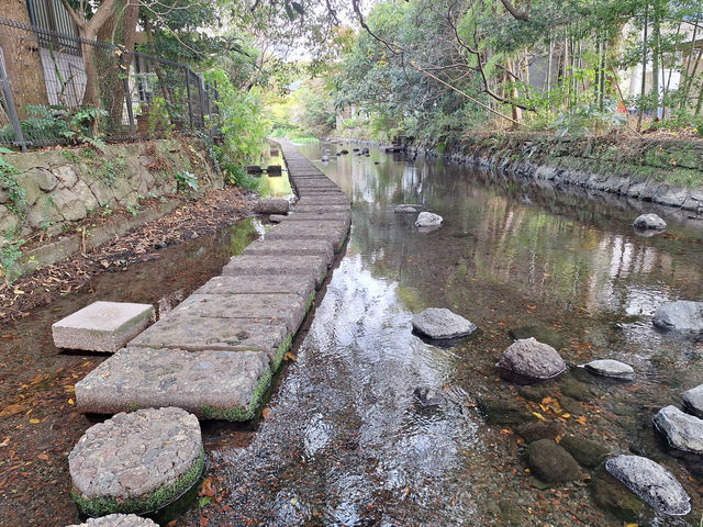 Mishima - a small town in Japan