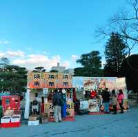 🏯中部長野松本城：國寶之城，傳統祭典🏯