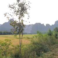 บ้านสวนคีรีวงศ์ อ.เขาย้อย จ.เพชรบุรี