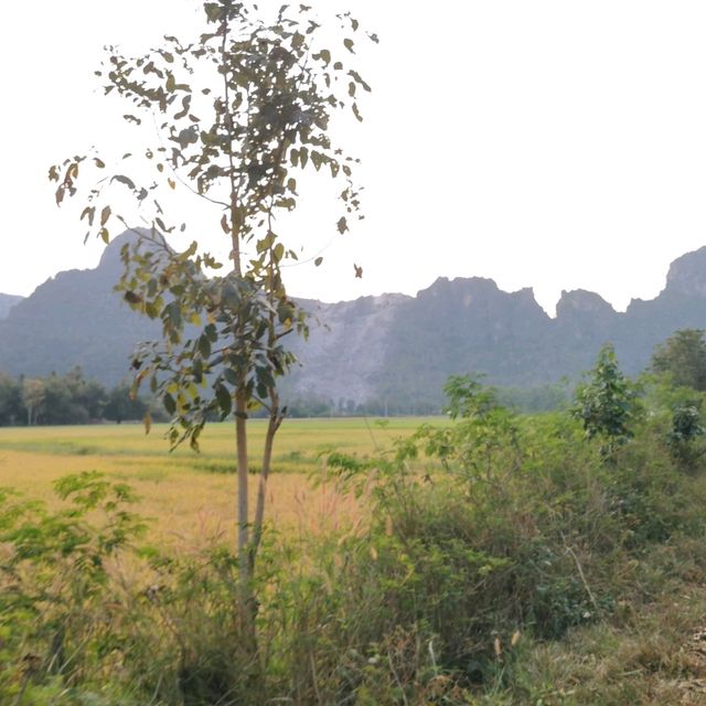 บ้านสวนคีรีวงศ์ อ.เขาย้อย จ.เพชรบุรี