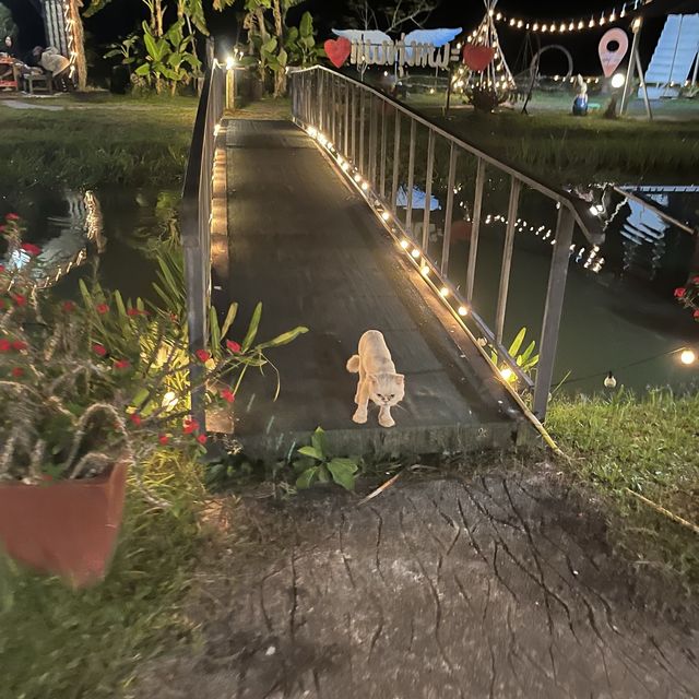 ครัวทุ่งแพะ ชุมพร