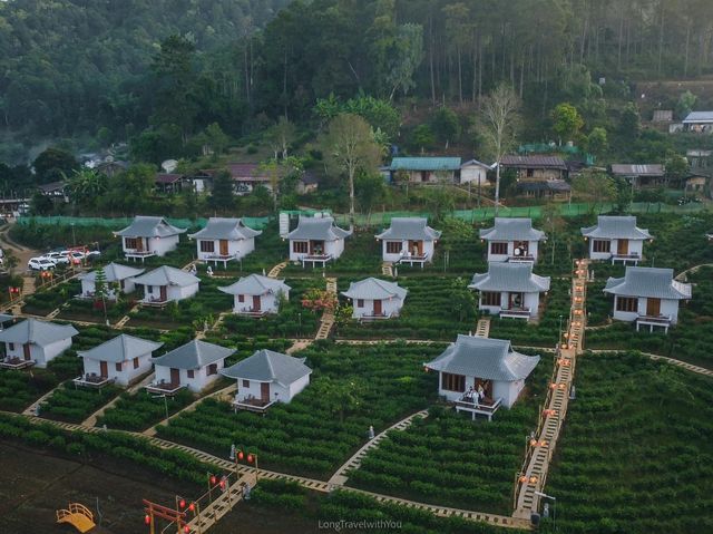 พักผ่อนสบายๆในไร่ชา ณ บ้านรักไทย