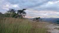รับตะวันก่อนใครในสยามที่ผาแต้ม 