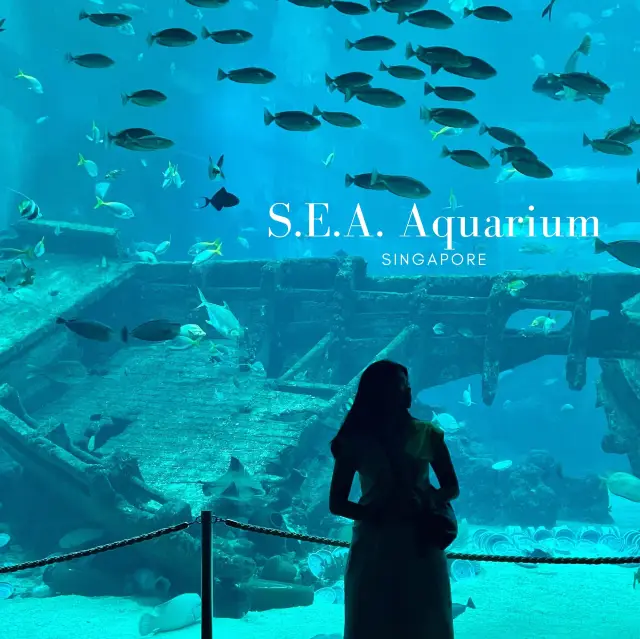 S.E.A Aquarium  