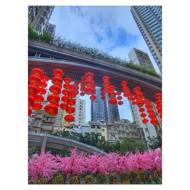 花燈‧ 彩兔賀新歲。灣仔利東街