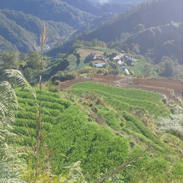 Survived Mt.Pulag 