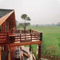 ชมสถาปัตยกรรม​ที่ทำด้วยไม้และซุงขนาดใหญ่! ๑