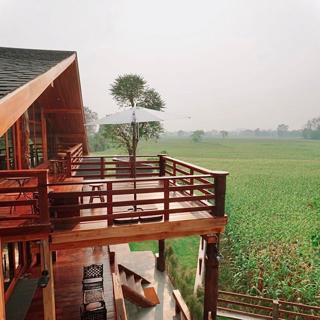 ชมสถาปัตยกรรม​ที่ทำด้วยไม้และซุงขนาดใหญ่! ๑