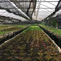 Organ by SmartNineFarm ร้านอาหารเพื่อคนรักสุขภาพ​