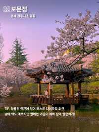 당일치기 가능한 경주 벚꽃명소 코스 🌸