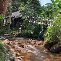 “The Tharntong Green Coffee” 