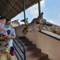 3โซนห้ามพลาด เมื่อมาเที่ยวซาฟารีเวิลด์!