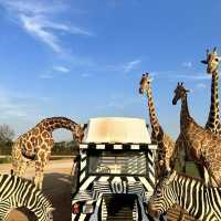 探索自然奇觀，曼谷北碧府野生動物園絕對不能錯過！