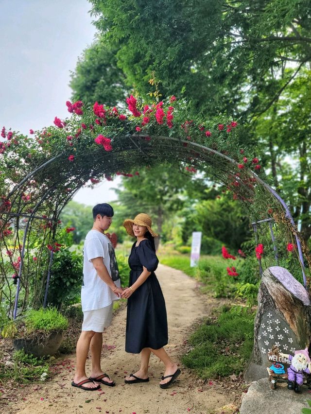 이제 곧 만개할 경남권 라벤더, 거창허브빌리지🪻💜