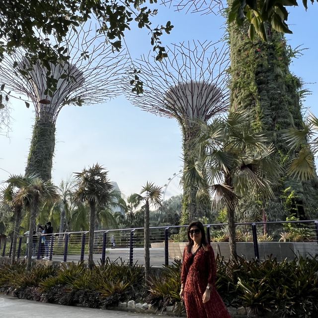Gardens by the Bay - Bay East Garden