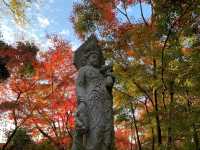 เที่ยวใบไม้เปลี่ยนสี เกียวโต วัดเอกันโดเซ็นริน ⛩️🍁