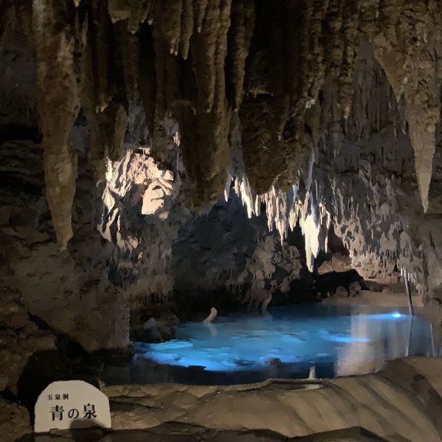 ✨沖繩世界 おきなわワールド✨