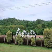 ผ่อนคลายในช่วงวันหยุด 