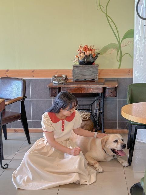 청주에서 제일 예쁜 능소화 맛집🧡