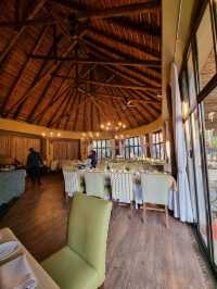 Amazing Safari Stay At Pilanesberg