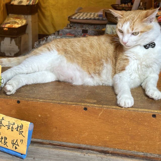 彰化鹿港古蹟一日遊🍂