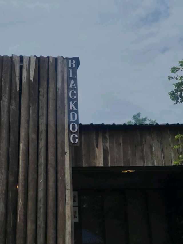Blackdog coffeebar