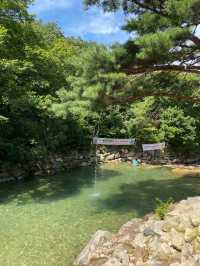 여름에 꼭 가야하는 물 색이 아름다운 완주 계곡 제일산장🌊