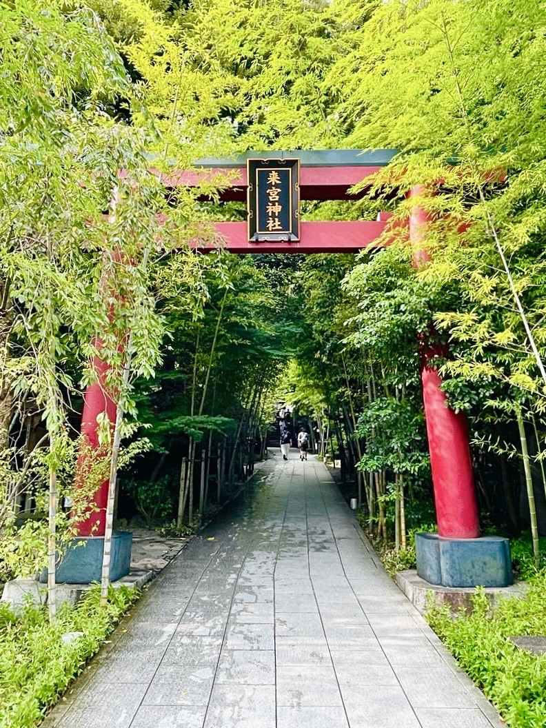 静岡県/来宮神社】樹齢2100年以上の大楠が必見の神社 | Trip.com 熱海