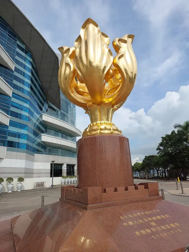 Golden Bauhinia Square 🌷✨