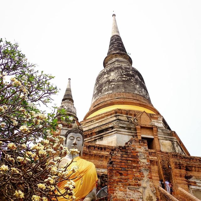 กราบพระนอนวัดใหญ่ชัยมงคล