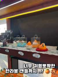 제주여행 기념품은 여기서, 샵제주 애월점 