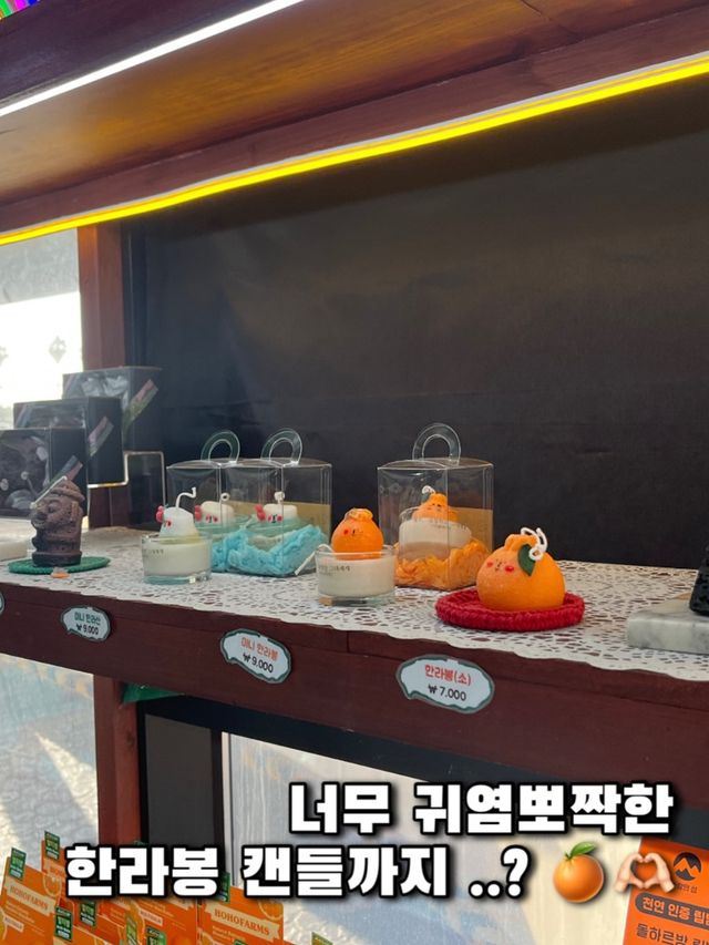제주여행 기념품은 여기서, 샵제주 애월점 