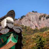 Beautiful Autumn View Of Naejangsa Temple 