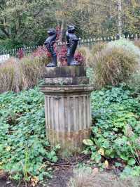 Explore autumn in Belfast , UK