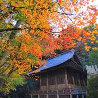 飛騨東照宮 紅葉スポットのご紹介