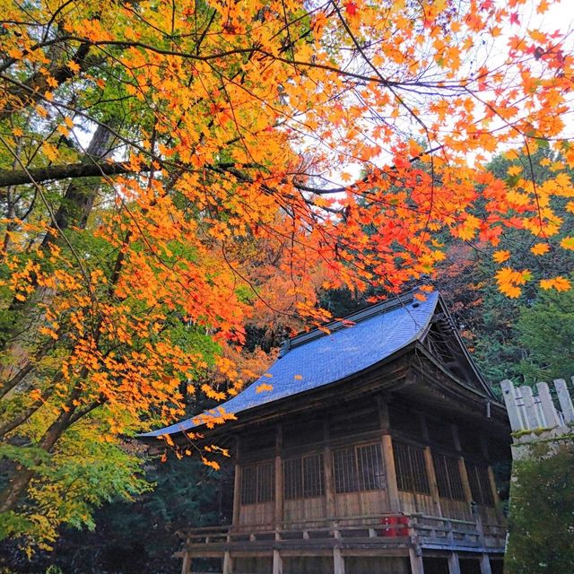 飛騨東照宮 紅葉スポットのご紹介