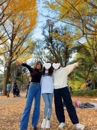 この時期におすすめ🧡秋ピクニックもうした？☺️🍁🍂🧺【東京・代々木公園】