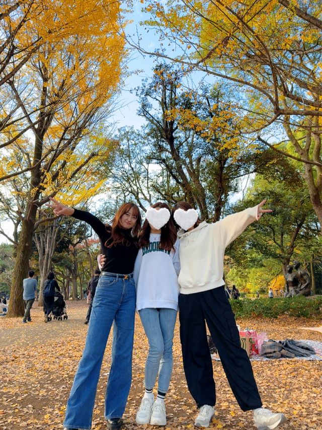 この時期におすすめ🧡秋ピクニックもうした？☺️🍁🍂🧺【東京・代々木公園】