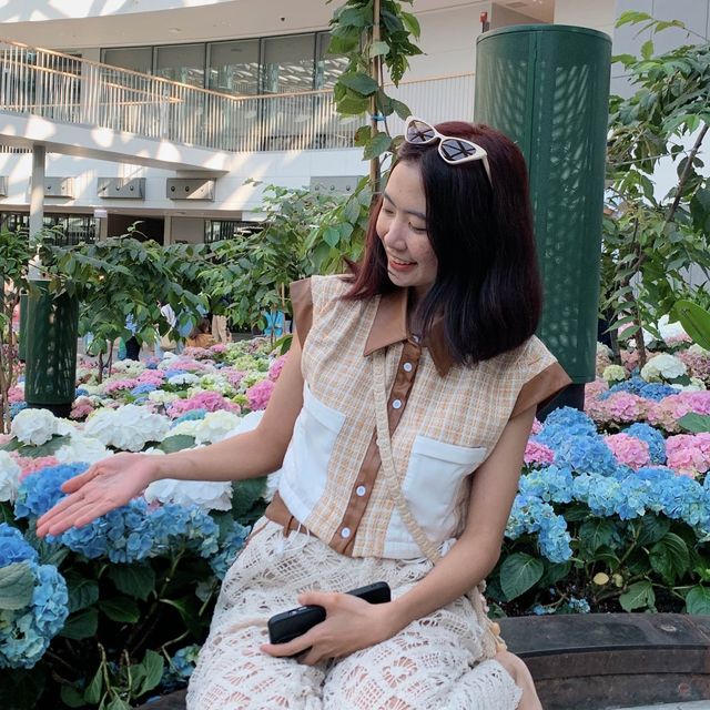 🌷ดอกทิวลิปบานแล้วที่ระยอง อยู่ในพื้นที่มาบตาพุด 