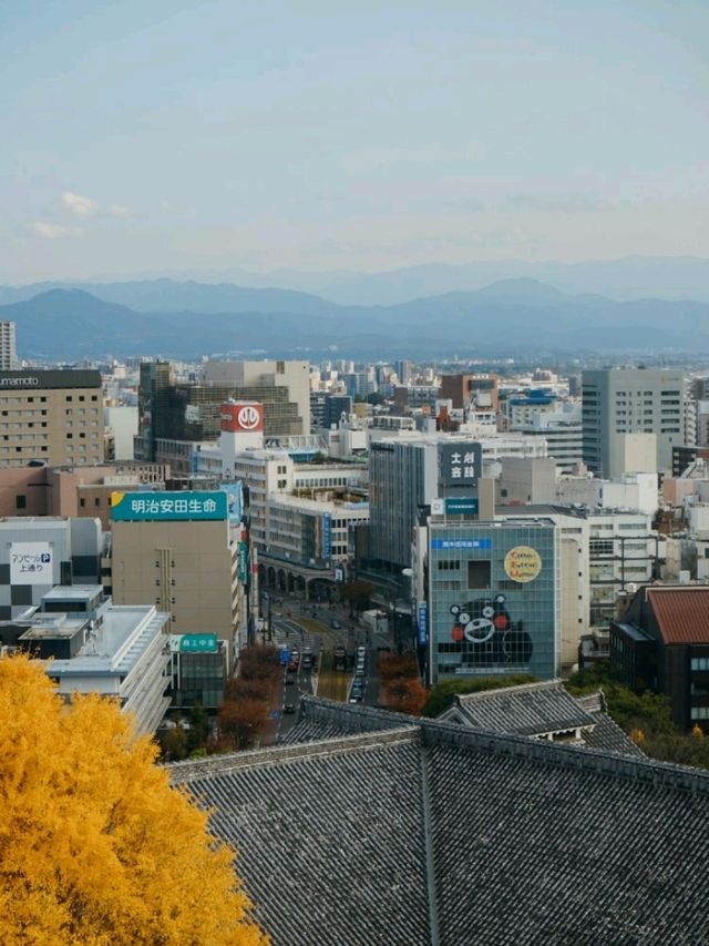 🇯🇵北九州之旅•添上金衣的熊本城🏯✨️