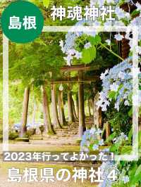 【島根県/神魂神社】2023年行ってよかった！島根県の神社④