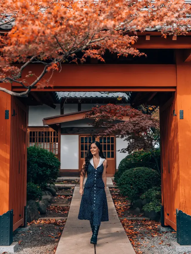 Visit the cat temple for good luck