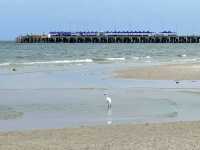 เยือนหัวหิน ถิ่นมีหอย Hua-Hin