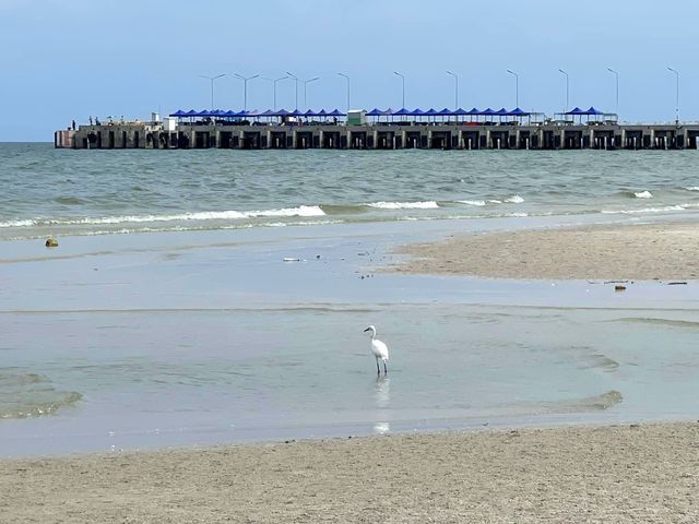 เยือนหัวหิน ถิ่นมีหอย Hua-Hin