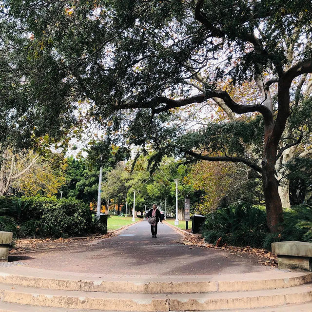 澳洲雪梨🇦🇺 海德公園Hyde Park Sydney🌳🍃